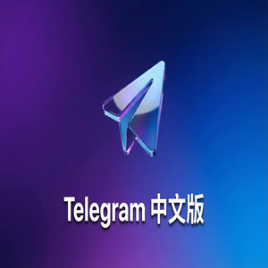 纸飞机中文版如何购买Premium会员？支付方式汇总（避坑版） - Telegram 官网