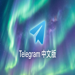 纸飞机中文版注销账号的正确方式与数据清除说明（进阶篇） - Telegram 官网