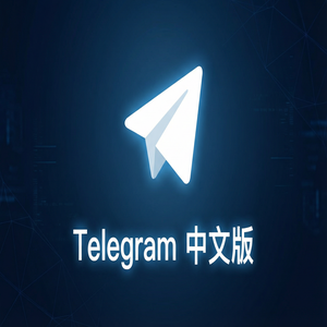 纸飞机中文版媒体文件自动下载设置与存储管理（避坑版） - Telegram 官网